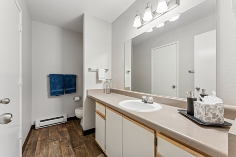 A bathroom with a white sink and a mirror.