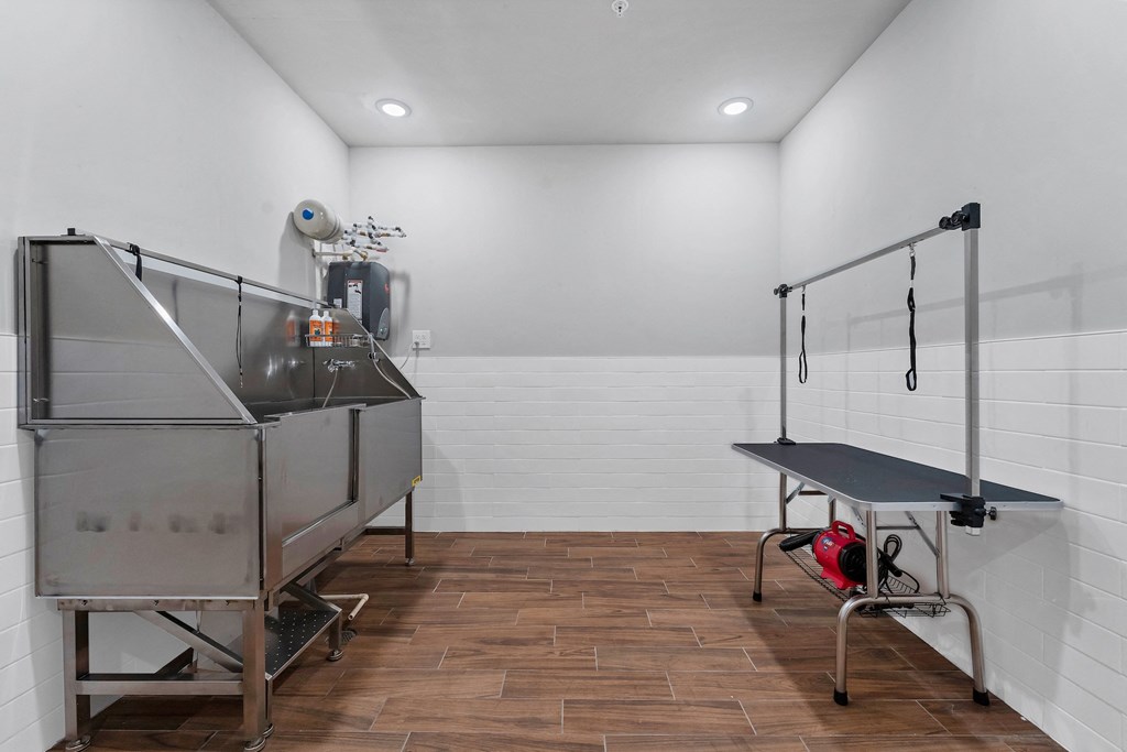 pet spa area with washing station on drying table