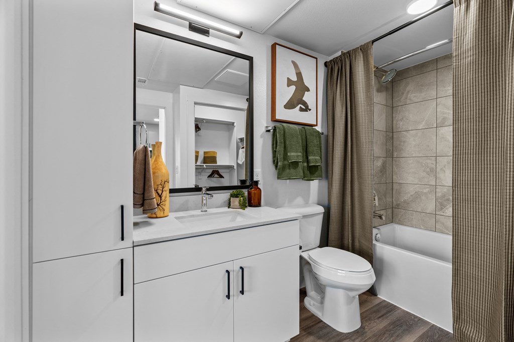 a bathroom with a sink and a toilet and a shower