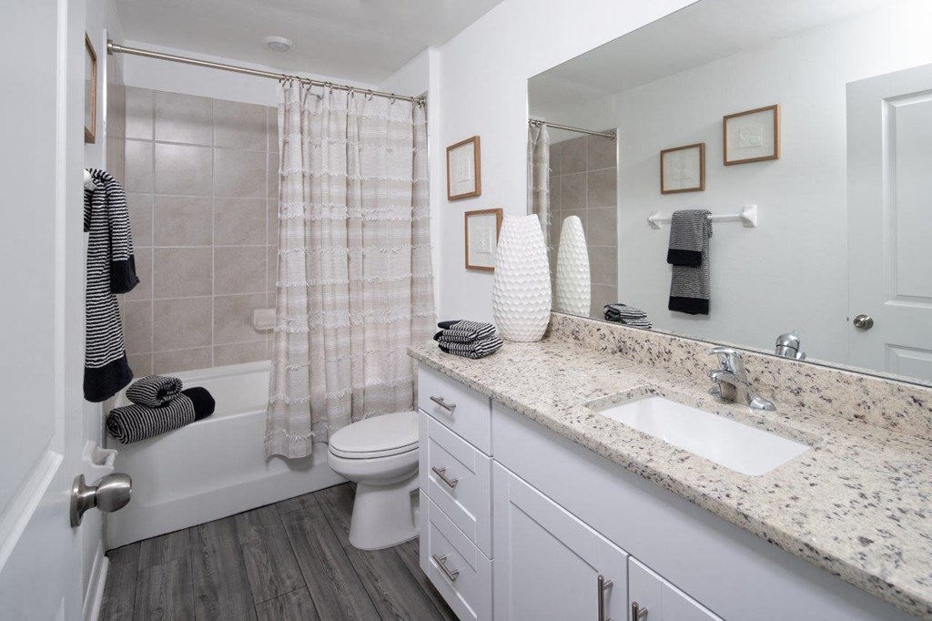 a bathroom with a toilet and a sink and a mirror