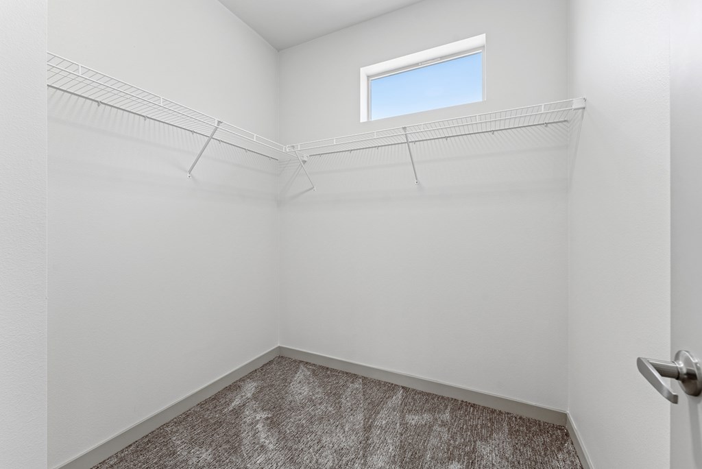 A room with a carpeted floor and a window.