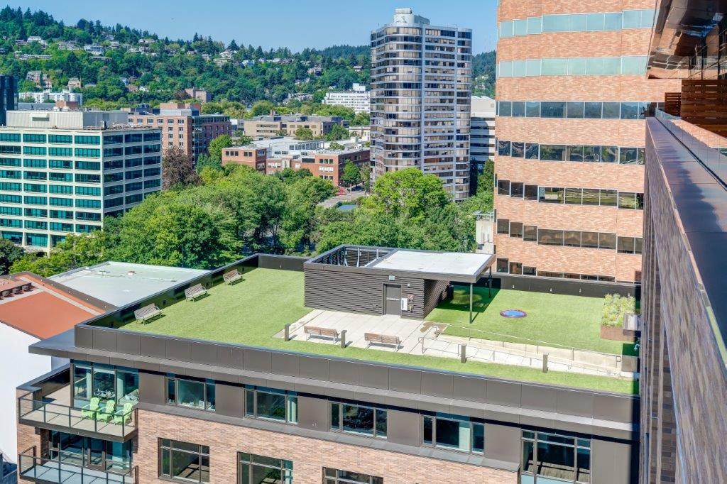 a green roof on a building with a city in the background
