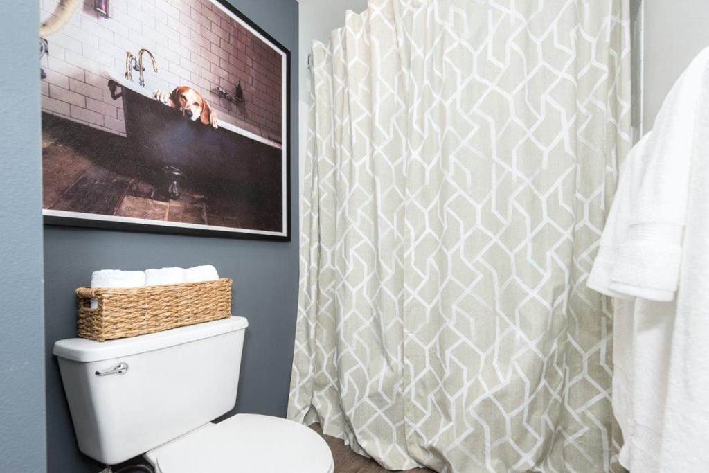 a bathroom with a white shower curtain and a toilet and a picture on the wall