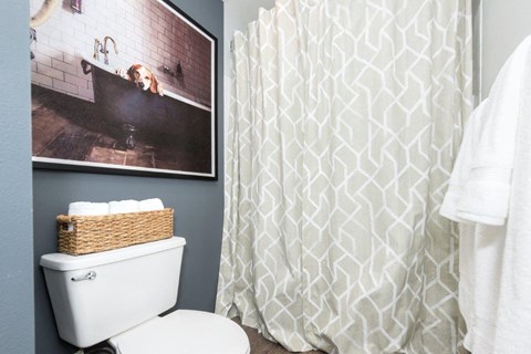 a bathroom with a white shower curtain and a toilet and a picture on the wall