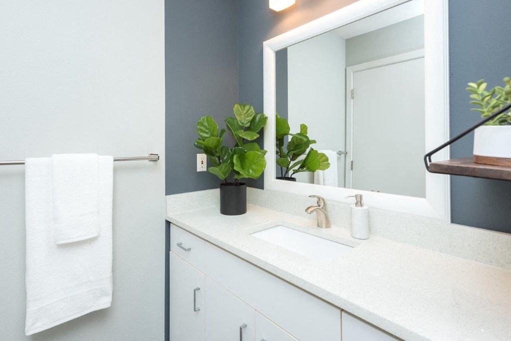 a bathroom with a sink and a mirror
