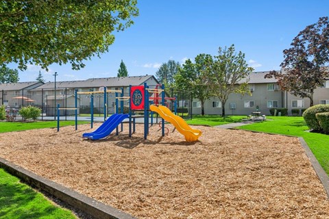 A playground with a blue and yellow slide.