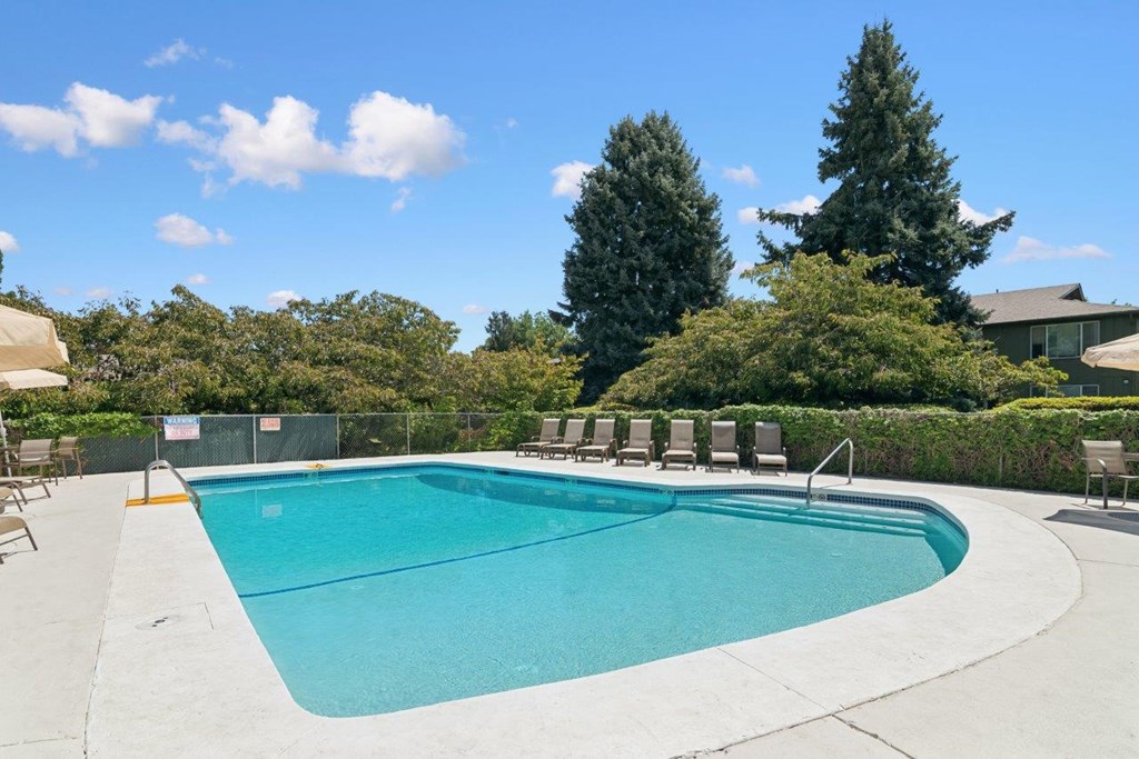 A large outdoor swimming pool surrounded by trees and a fence.