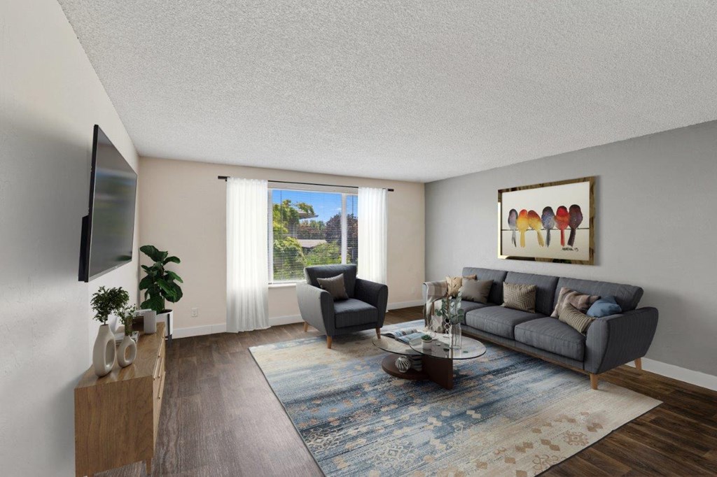 A living room with a grey couch, a coffee table, and a television.