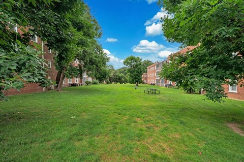 A park with a grassy area and trees.