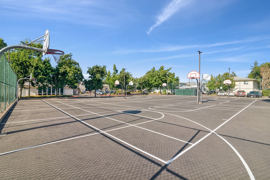 A basketball court with a net and hoop on the left side.