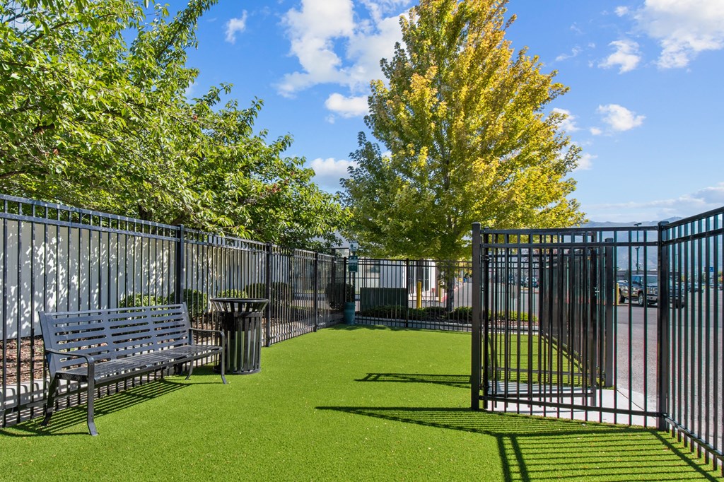 a grassy area with a bench and trees in the background