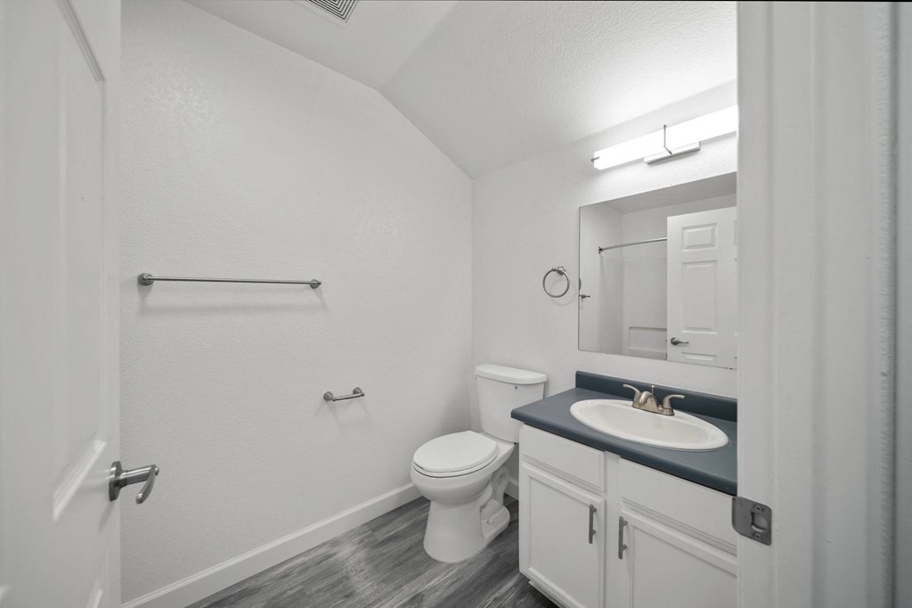 the preserve at ballantyne commons apartment bathroom