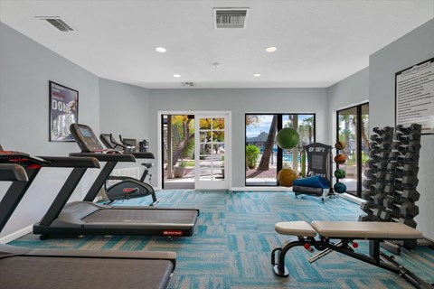 A gym with treadmills, exercise balls, and a bench.