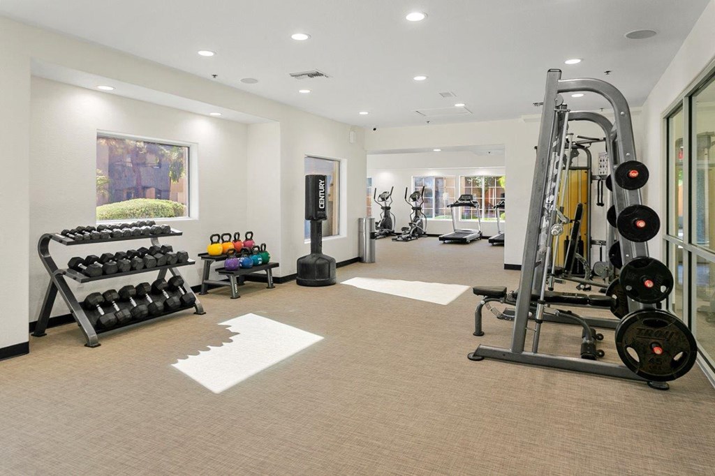Desert Mirage Apartment Homes Fitness Center