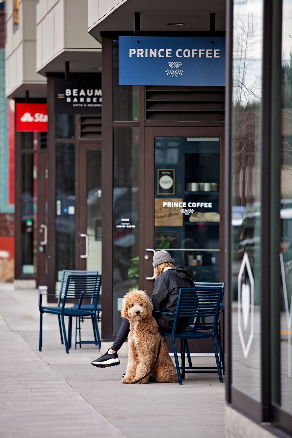 Dog In Front Of A Coffee House
