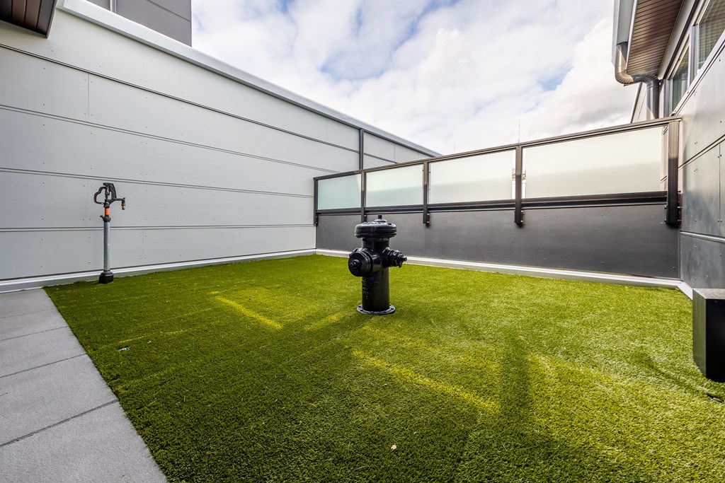 A small, well-kept lawn with a black fire hydrant in the middle.