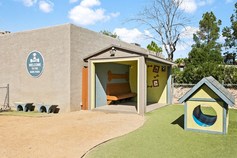 Domain 3201 Apartments Outdoor Dog Park