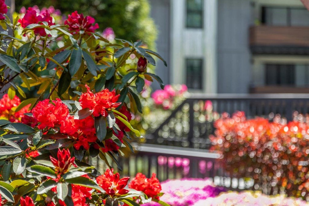 Duet Apartments in Lynnwood, Washington Exterior and Flowers