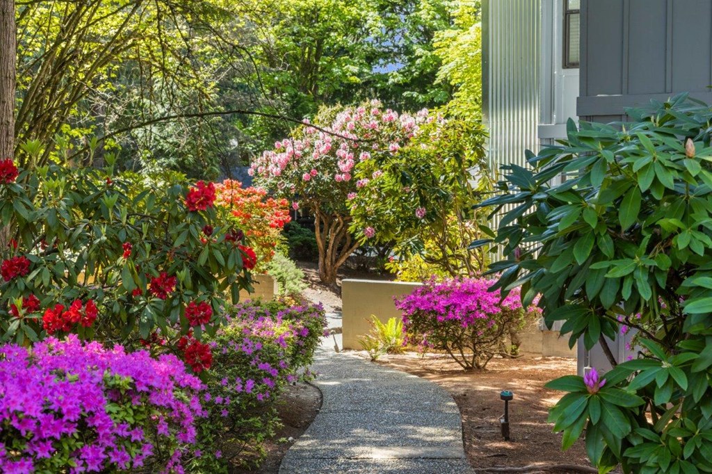 Duet Apartments in Lynnwood, Washington Exterior and Walkway