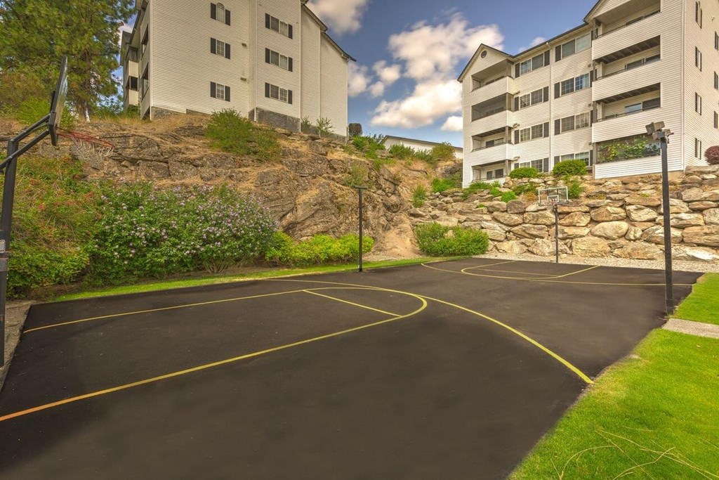 Eagle Rock Basketball Court