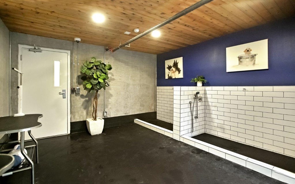 Paceline Apartments Pet Grooming Area