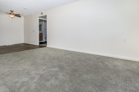 A room with a carpeted floor and a ceiling fan.