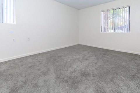 A room with a grey carpet and a window with blinds.