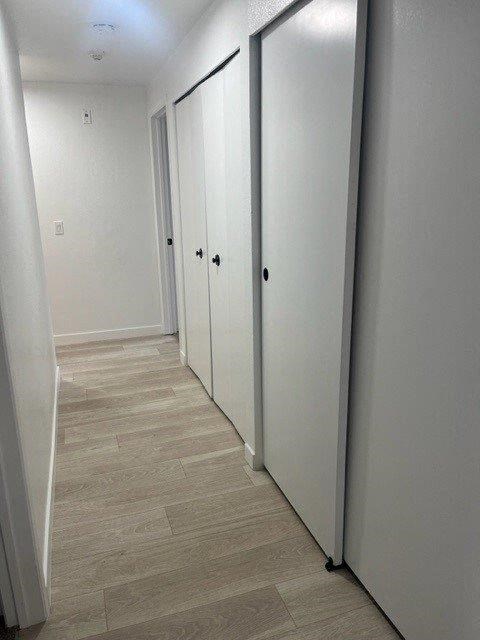 Elevate Apartments in Lynwood, Washington Hallway