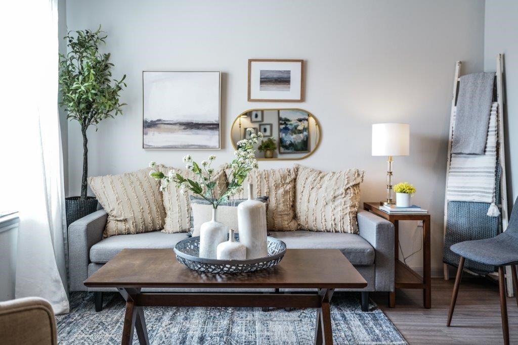 A living room with a grey couch, a coffee table, and a potted plant.