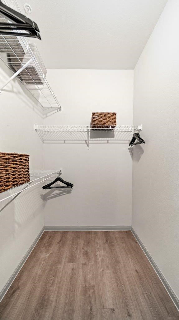 Emerson at Leander Walk-In Closet