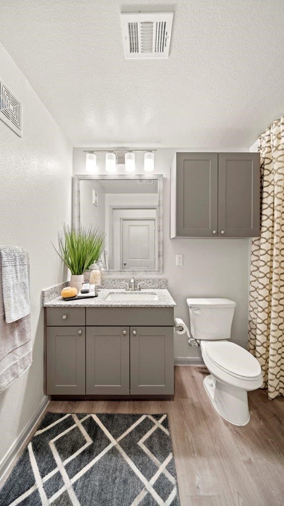 Emerson at Leander Model Bathroom