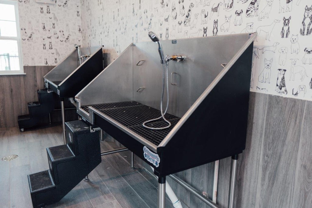 Emerson at Leander Apartments in Leander, Texas Pet Spa