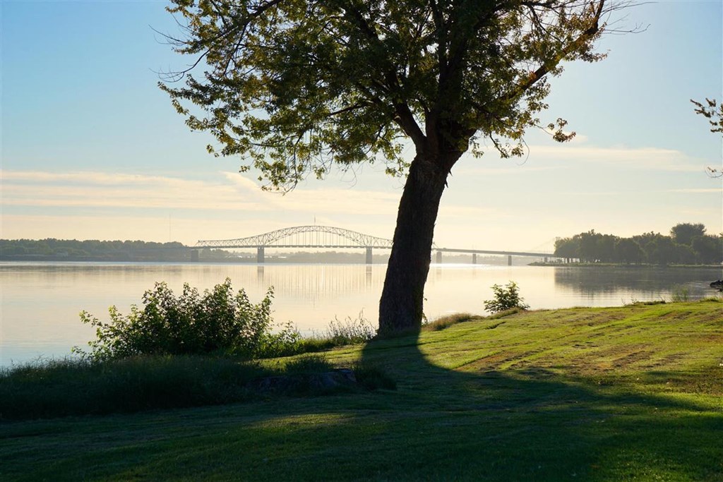 Evergreen Ridge_Richland WA_Tree overlooking the Lake