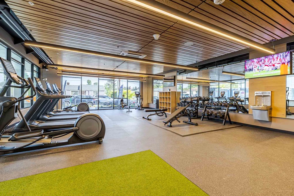 A gym with treadmills, exercise bikes, and other equipment.