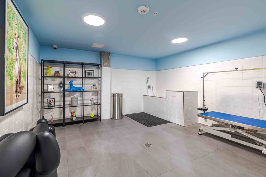 A gym room with a bench, weights, and a treadmill.