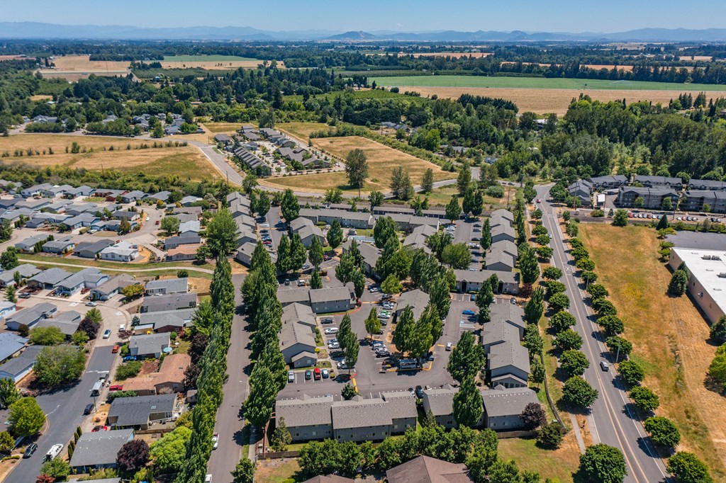 an aerial view of a neighborhood with houses and trees