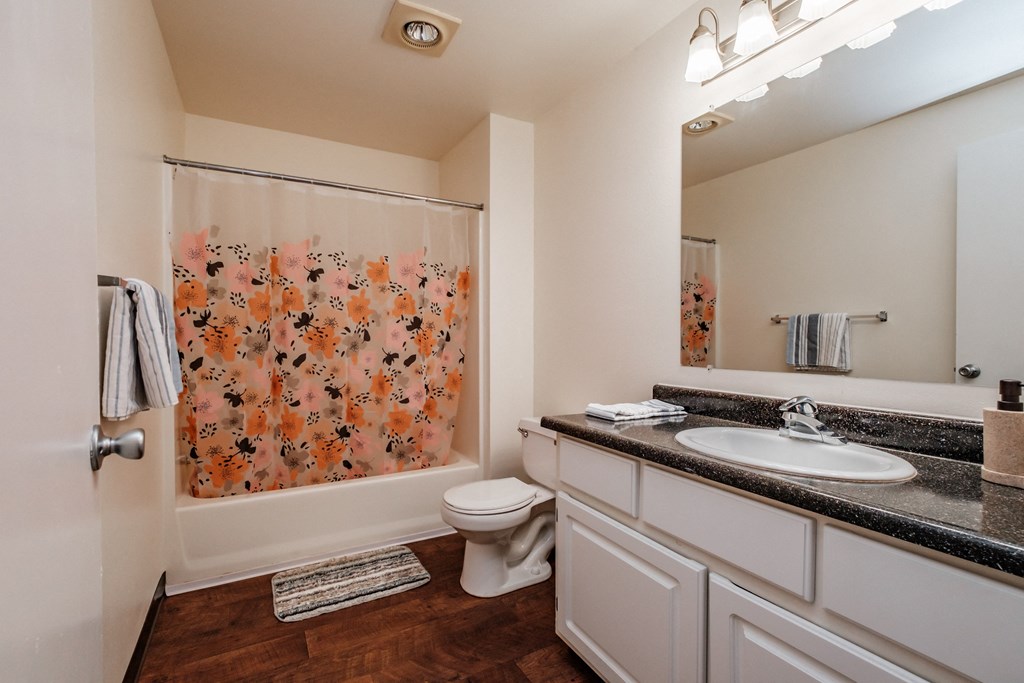 a bathroom with a shower toilet and sink