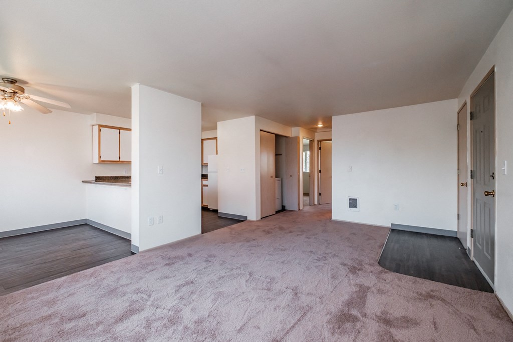 a living room with white walls and a pink carpet