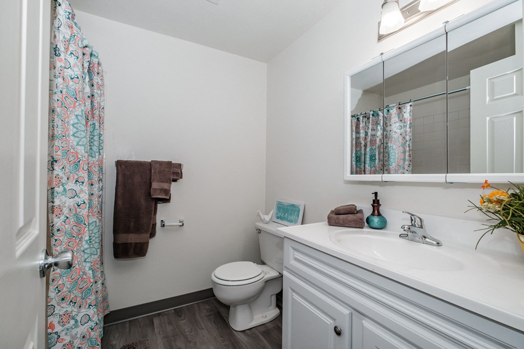 a bathroom with a white sink and toilet next to a shower with a curtain