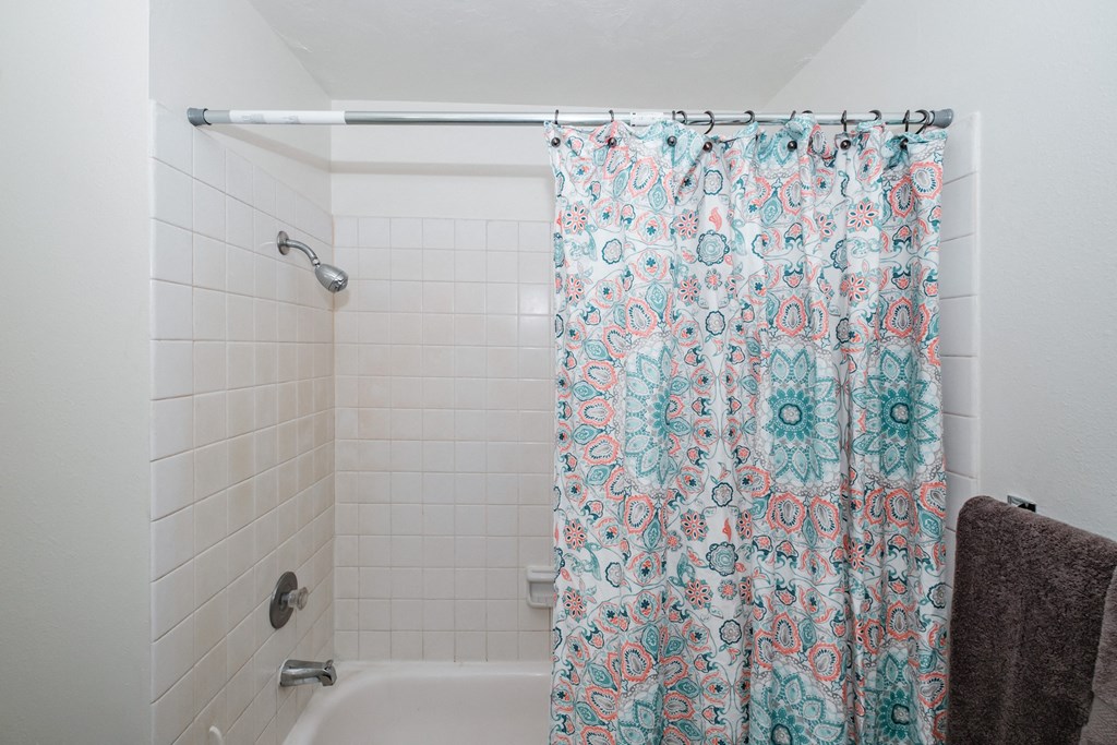 a bathroom with a shower and a bathtub