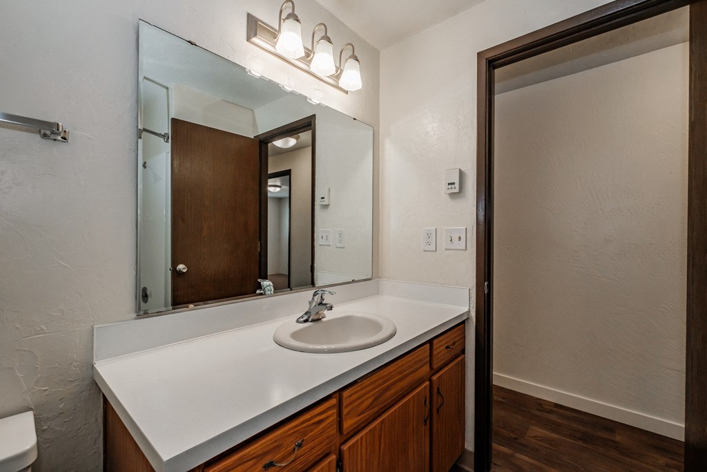 a bathroom with a sink and a mirror