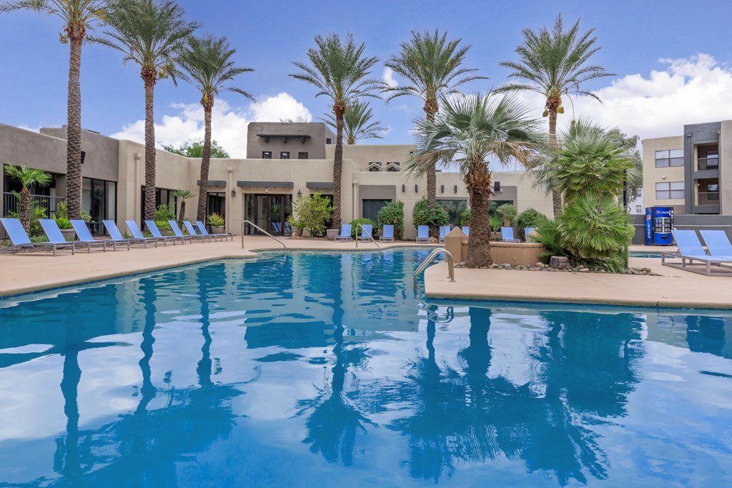A large swimming pool surrounded by palm trees and lounge chairs.