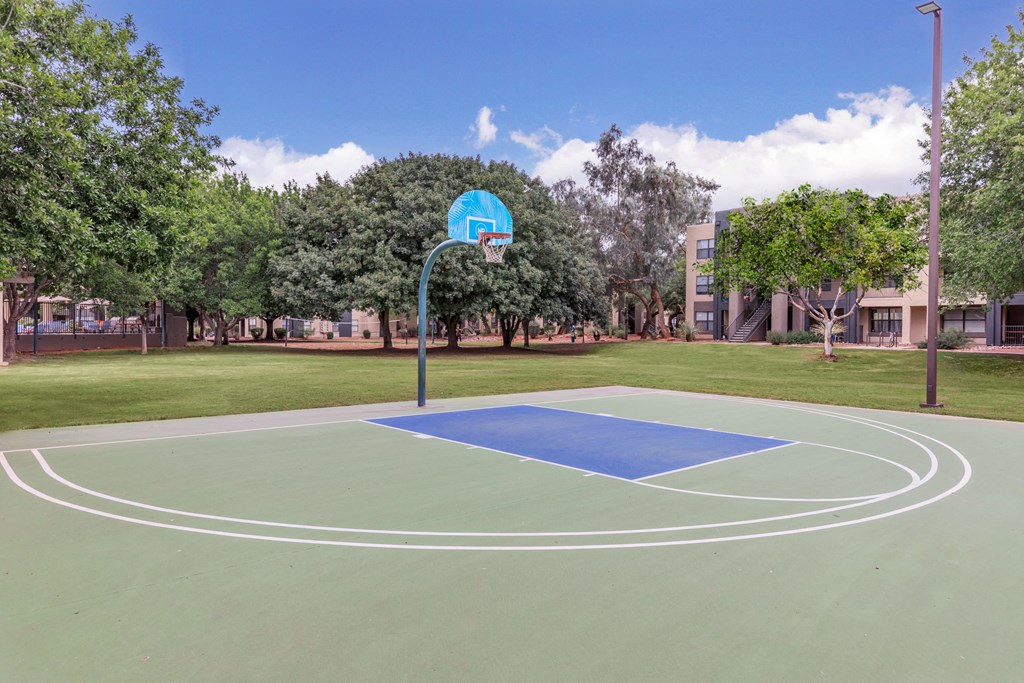 A basketball court with a blue hoop and green court.