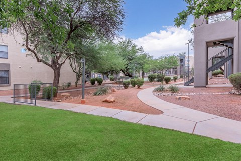 A tree in a yard with a building in the background.