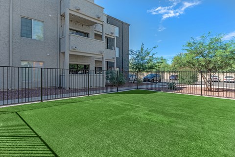 A grassy area in front of a building with a black fence.