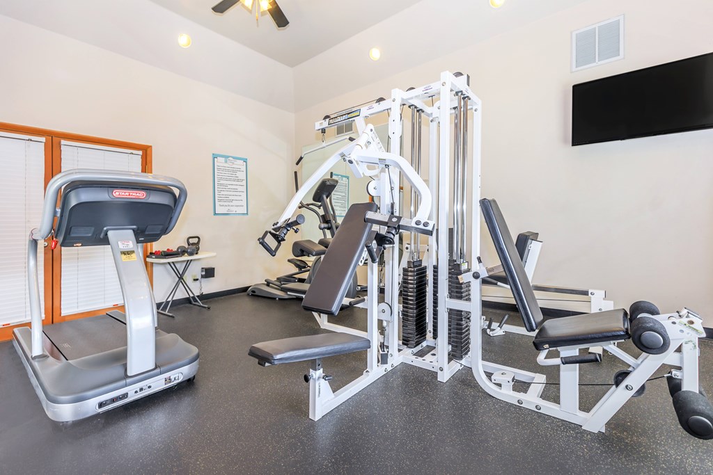 A gym with a treadmill, a leg press machine, and a cable machine.