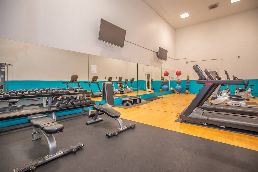 A gym with a variety of equipment including treadmills, weights, and exercise balls.