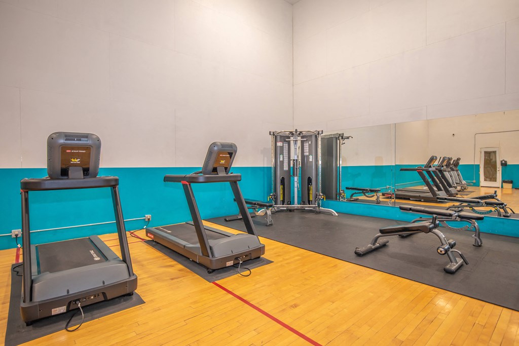 A gym with treadmills, exercise bikes, and weight machines.