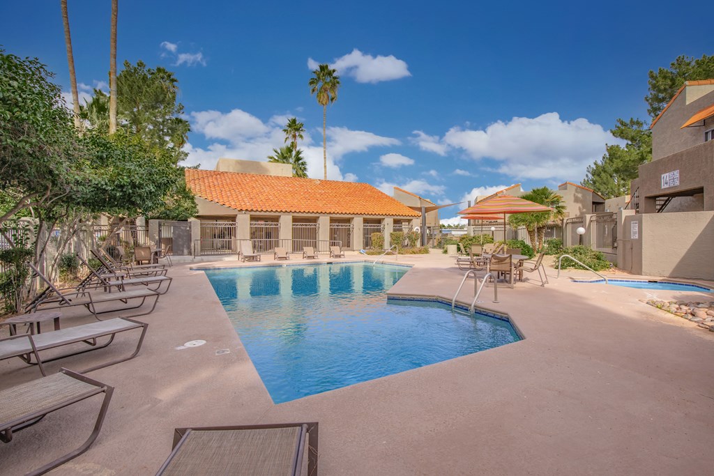 A large swimming pool surrounded by sun loungers and palm trees.