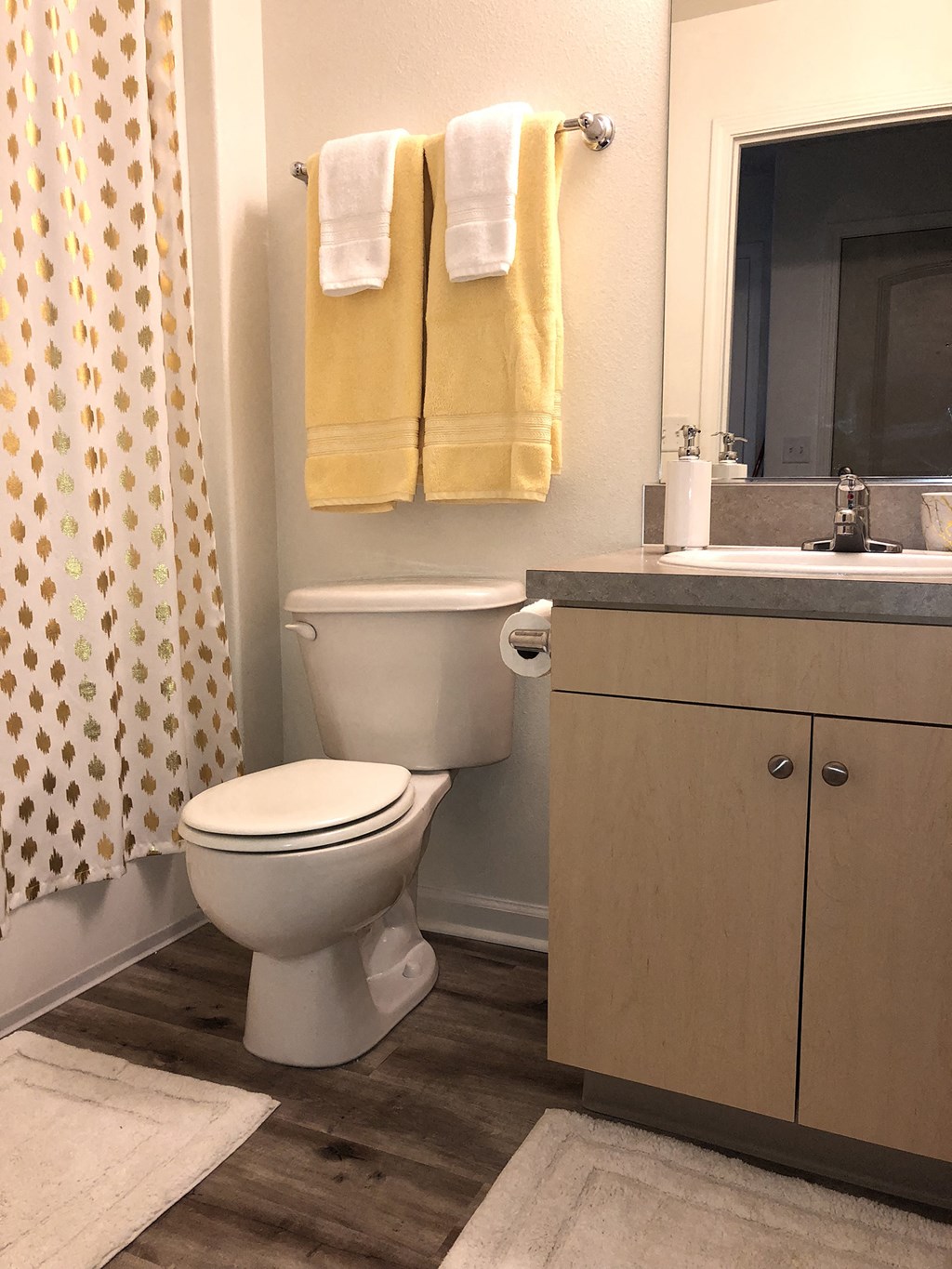 Falcon Ridge guest bathroom